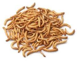 The value of  Dried mealworms